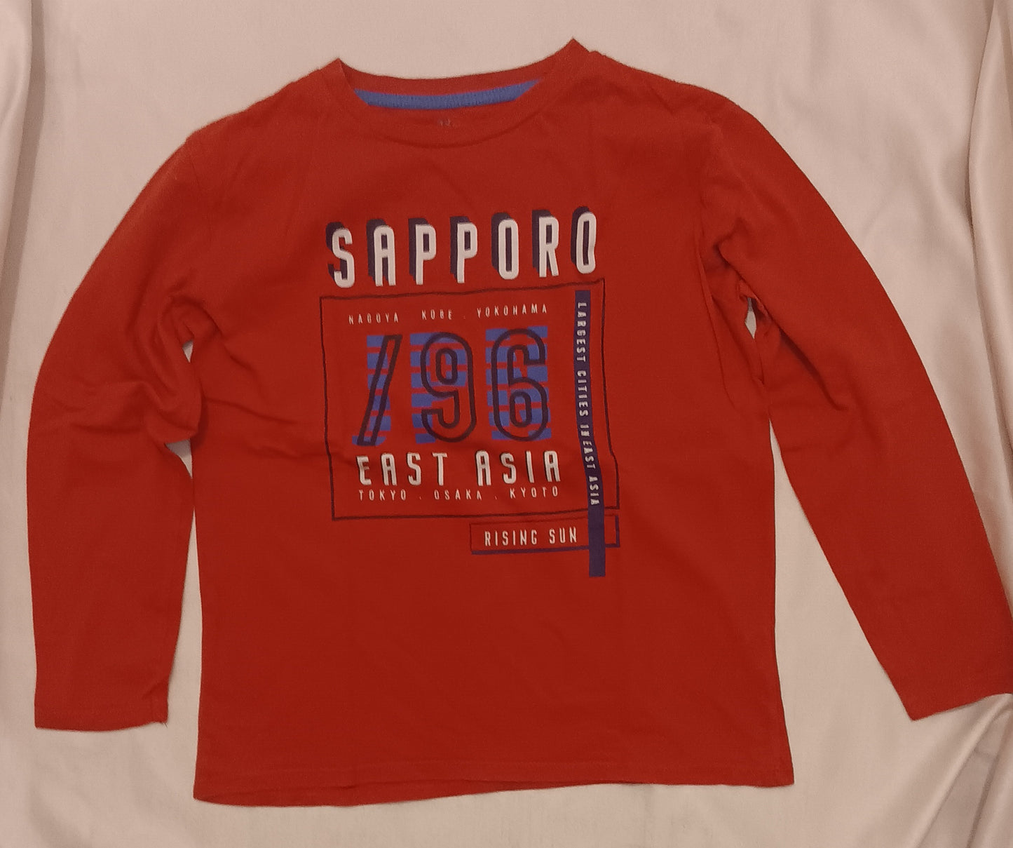 Lot 2 T-shirts garçon