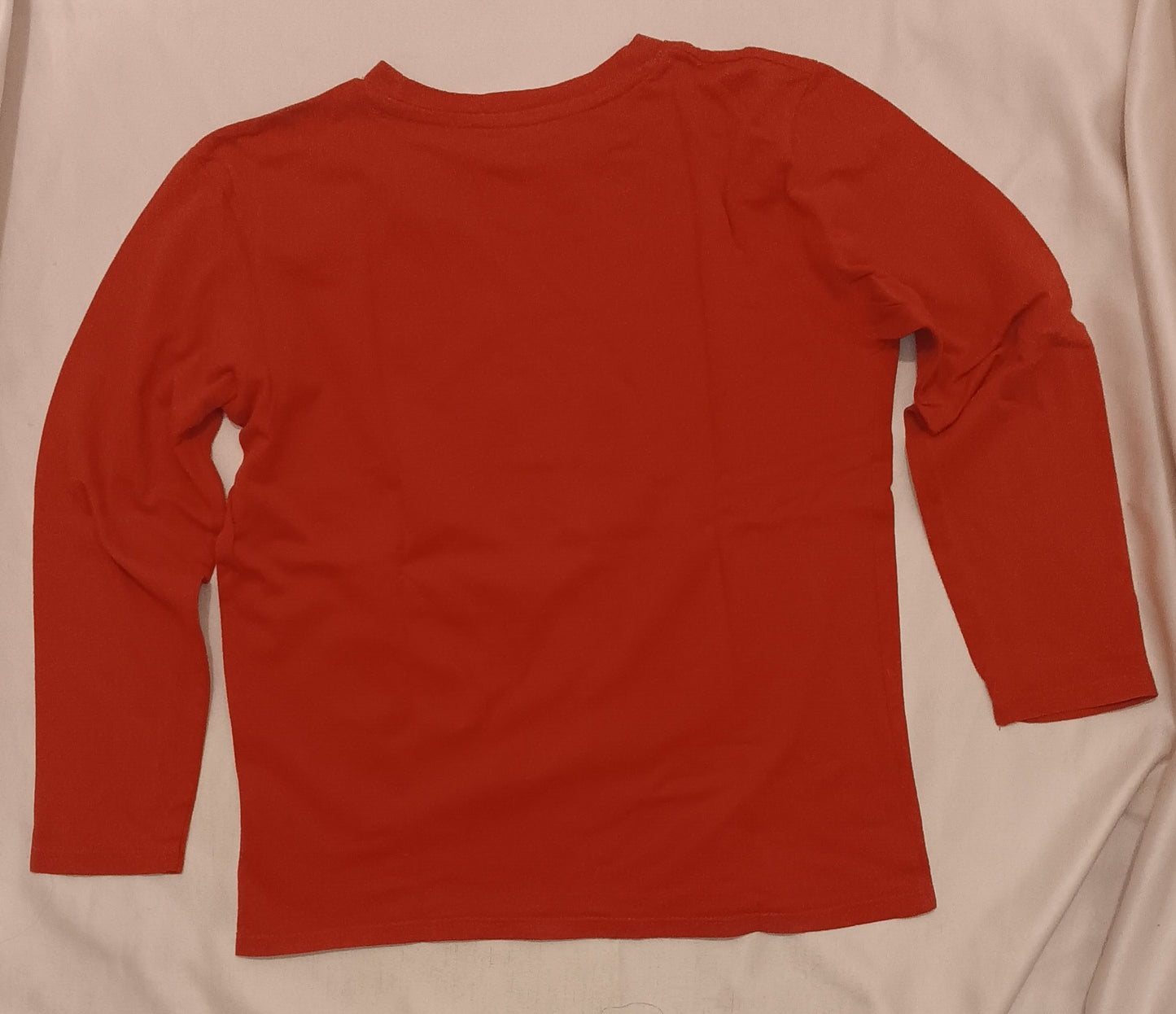 Lot 2 T-shirts garçon