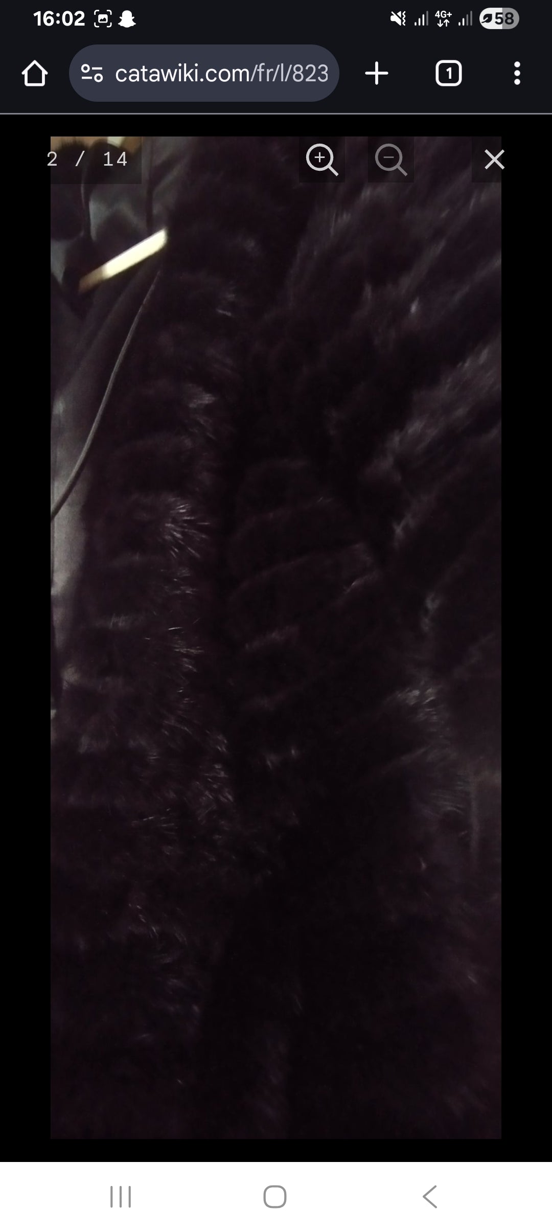 Manteau fourrure vison